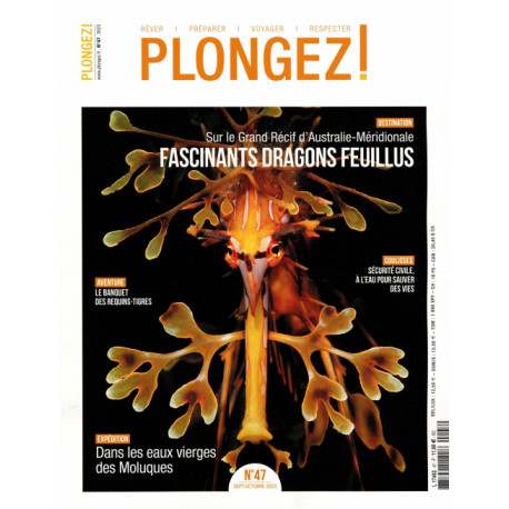 Plongez, magazine pour le meilleur des accueils