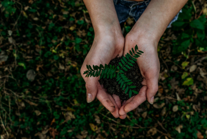 15 bonnes pratiques pour une hôtellerie « eco-friendly »